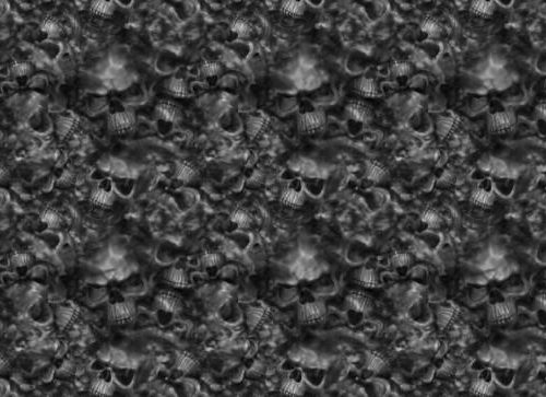 Reaper Skulls Hydrographic Film 50cm