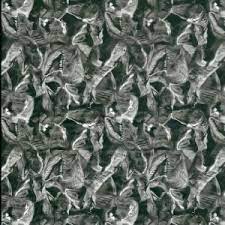 Dinosaur Hydrographic film 50cm