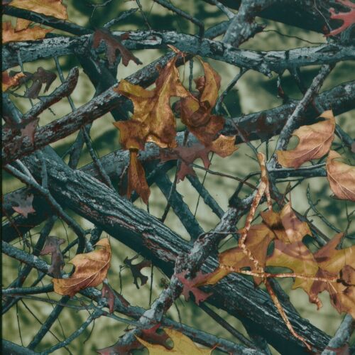 Green Autumn Camo Hydrographics Film 100cm