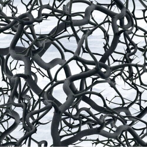 Dead Wood Hydrographics Film 100cm