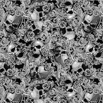 Skulls And Roses #2 Hydrographics Film 100cm