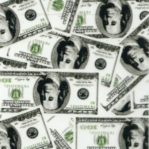 Dollar Bills Hydrographics Film 50cm