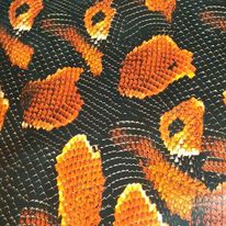 Boa Orange Snakeskin Hydrographics Film 50cm