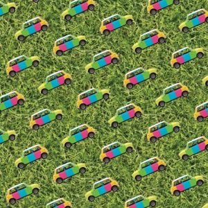 Minis Hydrographic Film 50cm