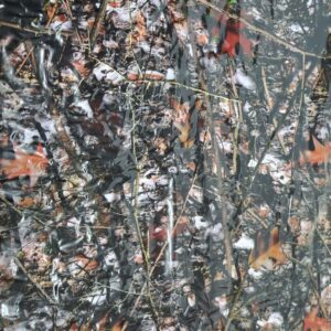Forest Floor Camo Hydrographics Film 100cm