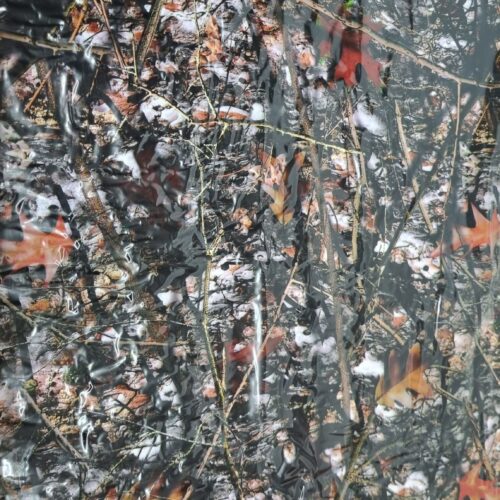 Forest Floor Camo Hydrographics Film 100cm