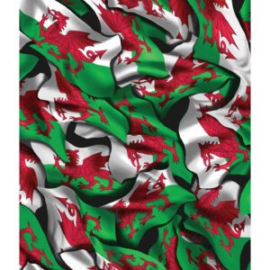 Welsh Flag Hydrographics film By Aquagraphix 100cm Wide