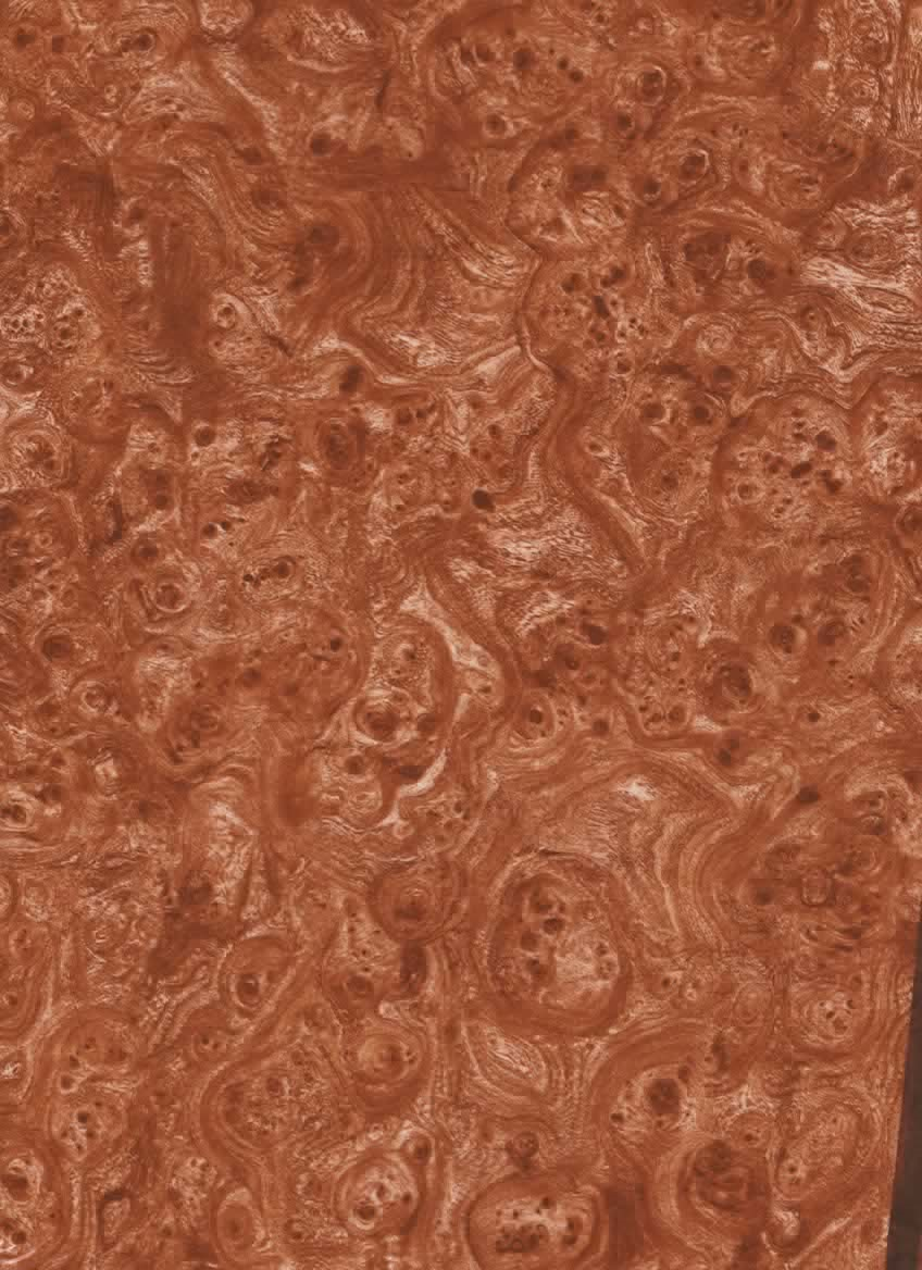 Walnut 5 Woodgrain Hydrographics film 100cm